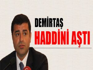 <font color=red>BDP'Lİ DEMİRTAŞ'TAN ERDOĞAN’A MURSİ BENZETMESİ</font>