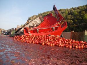 20 TON NAR YOLA DÖKÜLDÜ