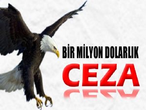 KARTAL CEZASI : 1 MİLYON DOLAR