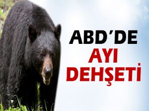 ABD 'DE AYI DEHŞETİ