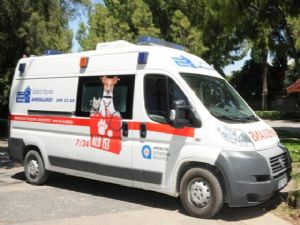 HAYVAN AMBULANSI 24 SAAT HİZMETTE 