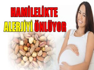 KURUYEMİŞ ALERJİYİ ÖNLÜYOR