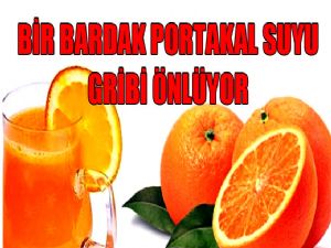 1 BARDAĞI GRİBİ ÖNLÜYOR 