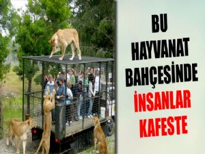 BURADA İNSANLAR KAFESTE ! 