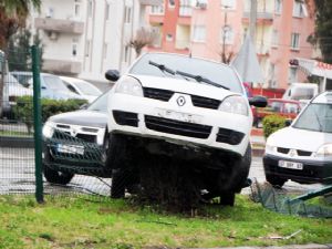 OTOMOBİL AĞAÇ KÜTÜĞÜNDE ASILI KALDI