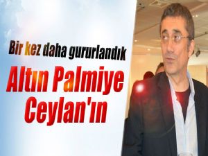 ALTIN PALMİYE BİZİM !