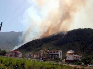 ANTALYA’DA ORMAN YANGINI