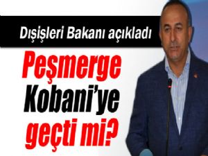 ÇAVUŞOĞLU : PEŞMERGE KOBANİYE ...