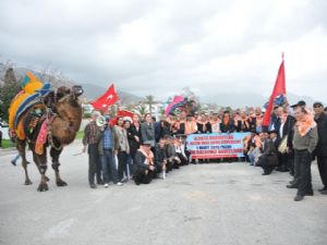 ALANYA'DA DEVE GÜREŞİ 