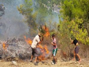 ANTALYA’DA ORMAN YANGINI