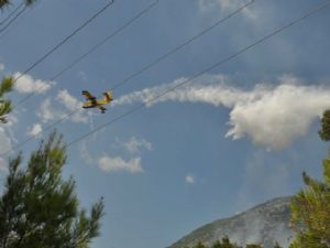 ANTALYA'DA 5 HEKTAR KÜL OLDU