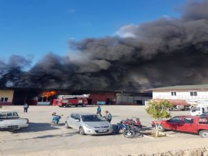 ALANYA'DA 2 AYRI NOKTADA YANGIN