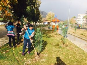 FİNİKE'DE ÖĞRENCİLER AĞAÇLARA İSİM VERDİ